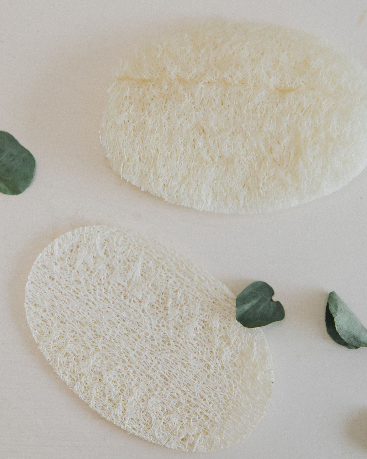 Two oval natural loofah sponges with textured fibrous surfaces, arranged on a light cream background with scattered green eucalyptus leaves.