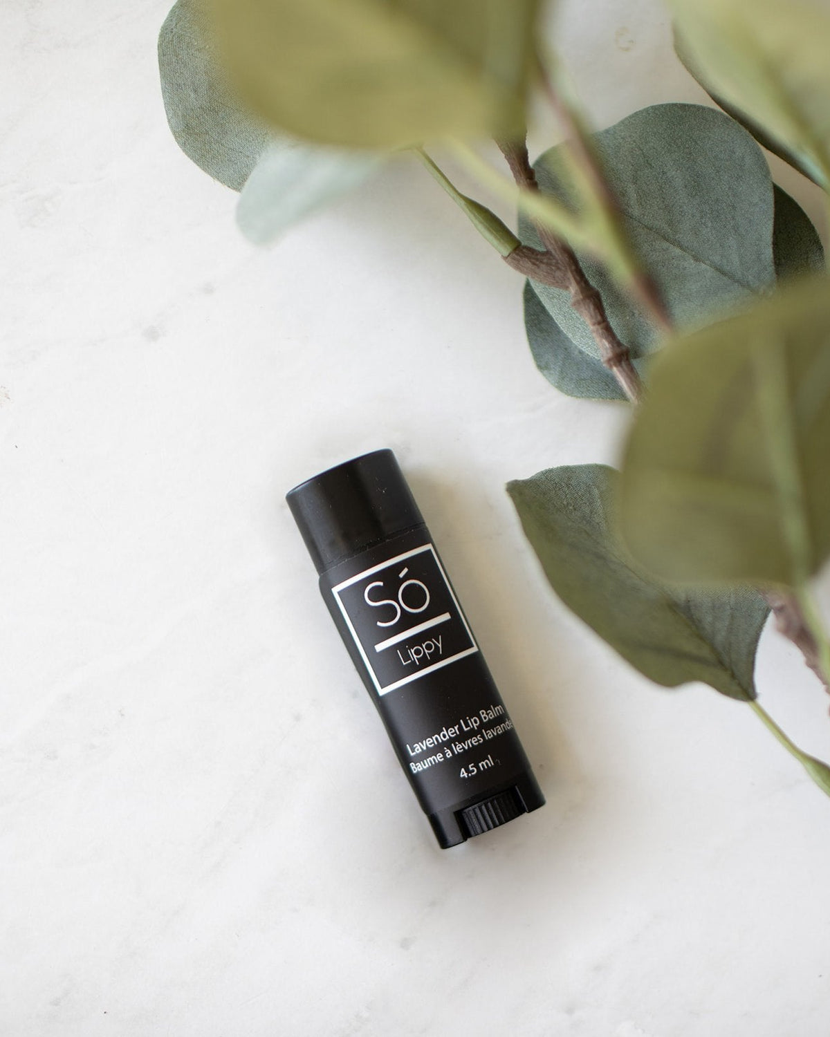 A black lip balm stick with a white logo and text, labeled 'Só Lippy Lavender Lip Balm', placed on a light marble surface next to green eucalyptus leaves.